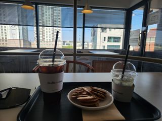 꿀복이농장님의 두릅 · 영농일지 작성글 사진