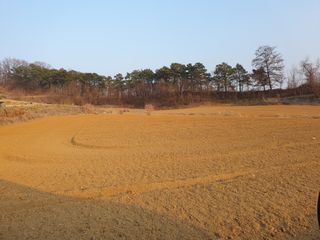 리치리치님의 기타작물 · 영농일지 작성글 사진