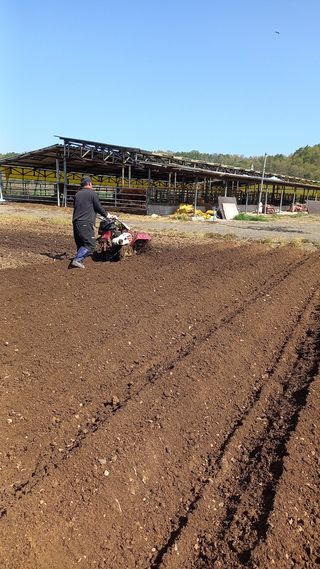 미성농장님의 기타작물 · 영농일지 작성글 사진