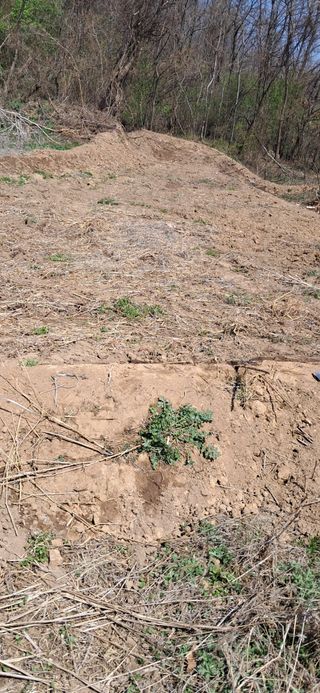 이복길님의 기타작물 · 영농일지 작성글 사진