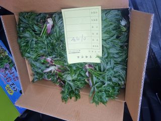 경남하동이주랑님의 기타작물 · 영농일지 작성글 사진