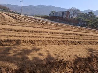 이.일신.꽃분아빠님의 기타작물 · 영농일지 작성글 사진