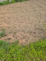 팜모닝 기타작물·영농일지 게시글 이미지