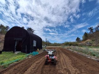 하중규(고추 재배)님의 고추 · 영농일지 작성글 사진
