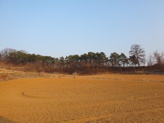 리치리치님의 기타작물 · 영농일지 작성글 사진