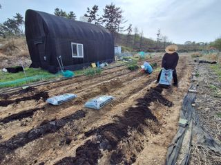 하중규(고추 재배)님의 기타작물 · 영농일지 작성글 사진
