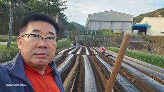 염봉섭님의 기타작물 · 영농일지 작성글 사진