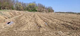 이복길님의 기타작물 · 영농일지 작성글 사진