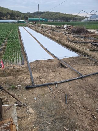 이낙훈님의 기타작물 · 영농일지 작성글 사진