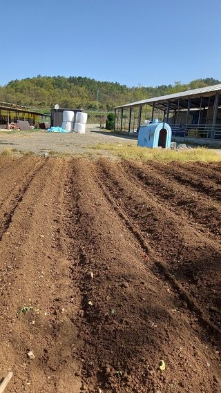 미성농장님의 기타작물 · 영농일지 작성글 사진