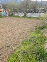 시금치11442님의 작성글 사진