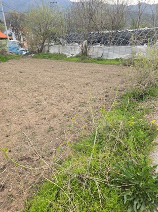 시금치11442님의 기타작물 · 영농일지 작성글 사진