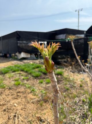 베리의정원님의 작성글 사진