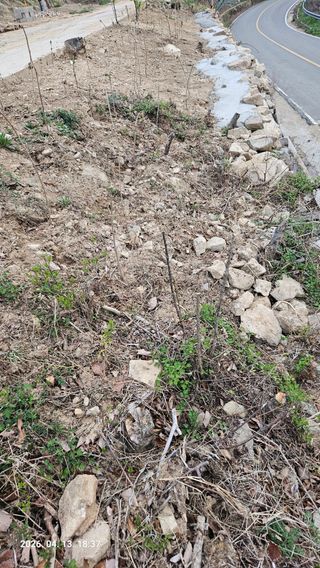 임상근님의 기타작물 · 영농일지 작성글 사진