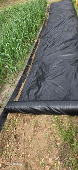 경주농장님의 작성글 사진