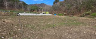 강호지인님의 기타작물 · 영농일지 작성글 사진