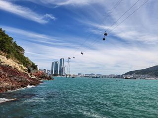 꿀복이농장님의 작성글 사진