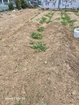 팜모닝 기타작물·영농일지 게시글 이미지