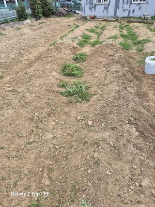 덕포킴님의 기타작물 · 영농일지 작성글 사진