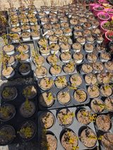 조민서님의 작성글 사진