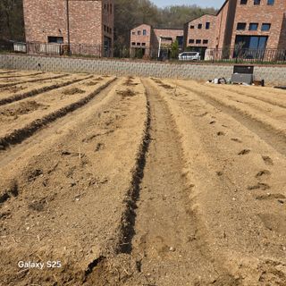 만대산후손님의 기타작물 · 영농일지 작성글 사진