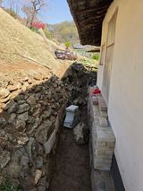 팜모닝 기타작물·영농일지 게시글 이미지