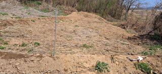 이복길님의 기타작물 · 영농일지 작성글 사진