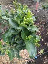 라이온3241님의 작성글 사진