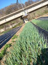 조정분(사랑이엄마)님의 작성글 사진