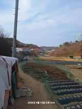 이수홍(이창희)님의 작성글 사진