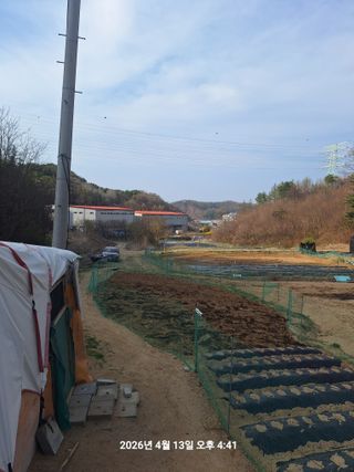 이수홍(이창희)님의 기타작물 · 영농일지 작성글 사진