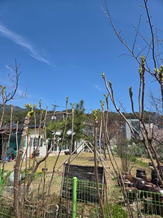 최동수님의 기타작물 · 영농일지 작성글 사진