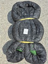 엉뚱님의 작성글 사진