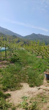 김 연님의 작성글 사진