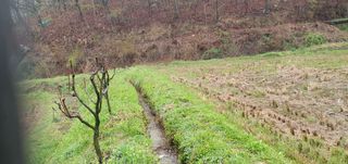 반성식님의 벼 · 영농일지 작성글 사진