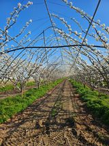 조영민님의 작성글 사진