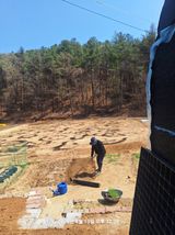 이수홍(이창희)님의 작성글 사진