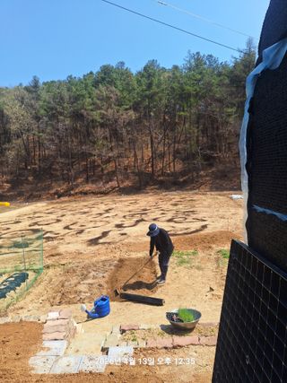 이수홍(이창희)님의 기타작물 · 영농일지 작성글 사진