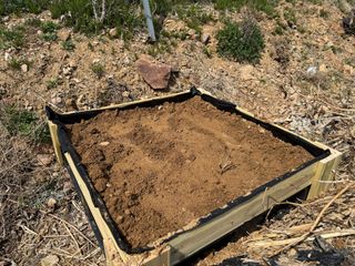 베리의정원님의 두릅 · 영농일지 작성글 사진