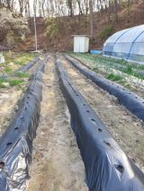 팜모닝 기타작물·영농일지 게시글 이미지