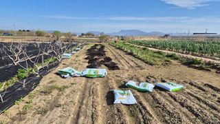 늘푸른 농장주님의 고추 · 영농일지 작성글 사진