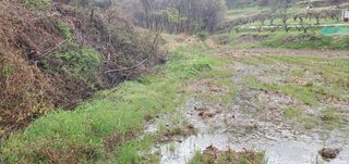 반성식님의 벼 · 영농일지 작성글 사진