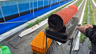 최수안님의 기타작물 · 영농일지 작성글 사진