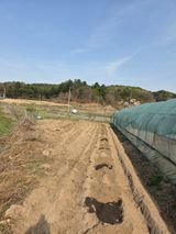 김윤회님의 작성글 사진