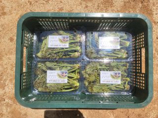 이용찬 열매마농원님의 기타작물 · 영농일지 작성글 사진