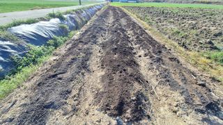 양동하님의 고추 · 영농일지 작성글 사진