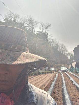 전복수님의 기타작물 · 영농일지 작성글 사진