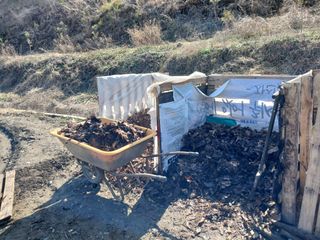 김홍중님의 두릅 · 영농일지 작성글 사진