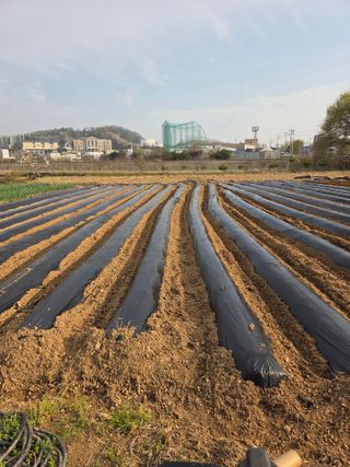 김연숙님의 작성글 사진