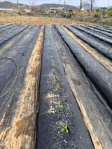 백영호님의 작성글 사진